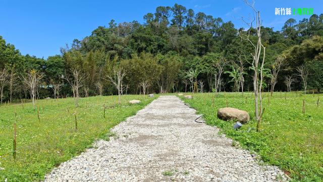 新竹農地_山坡地_休閒地-6