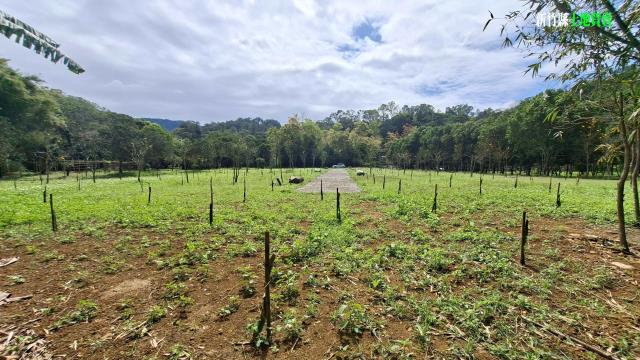 新竹農地_山坡地_休閒地-8