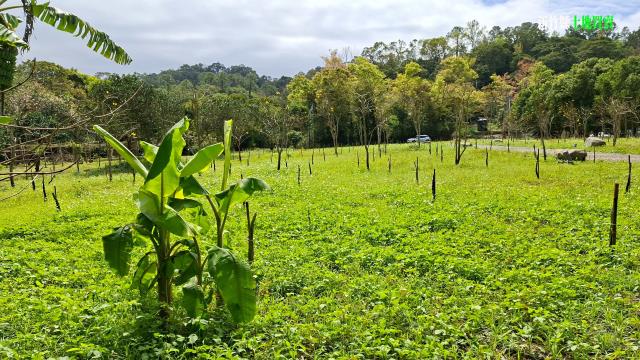 新竹農地_山坡地_休閒地-9