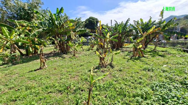 新竹橫山農地-15
