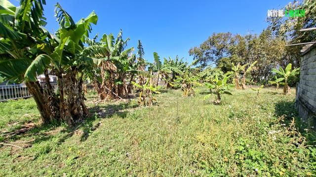 新竹橫山農地-6