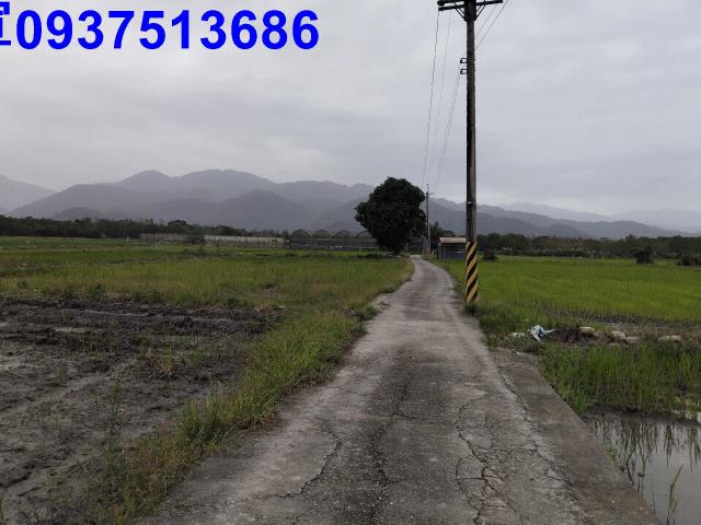 宜蘭三星農地-13