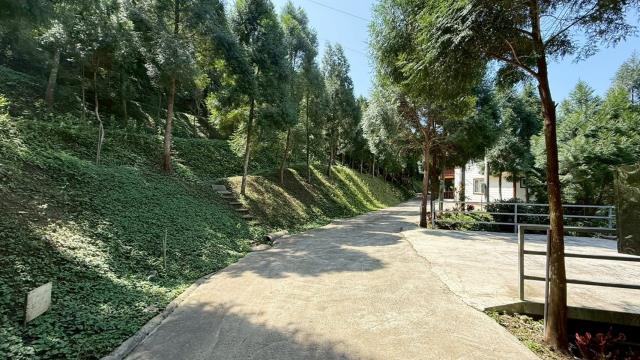 新竹橫山農地_山坡地-15