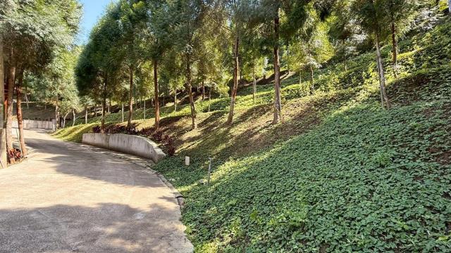 新竹橫山農地_山坡地-4