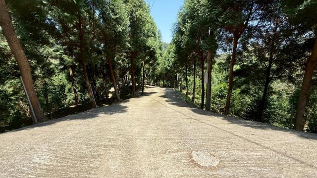 新竹橫山農地_山坡地-15