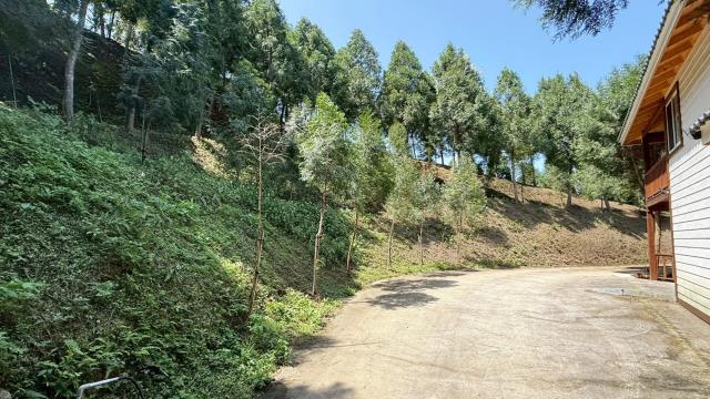 新竹橫山農地_山坡地-4