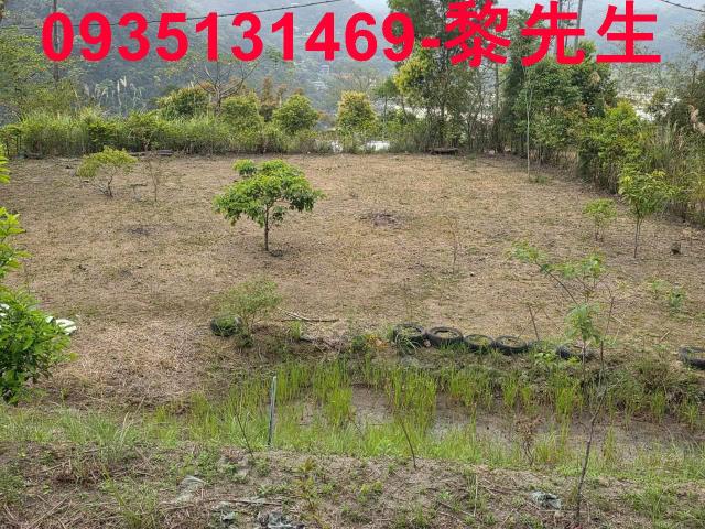 新竹橫山農地-12