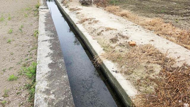 新竹竹北農地-4