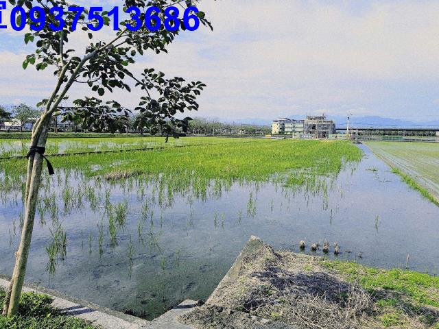 宜蘭壯圍農地-1