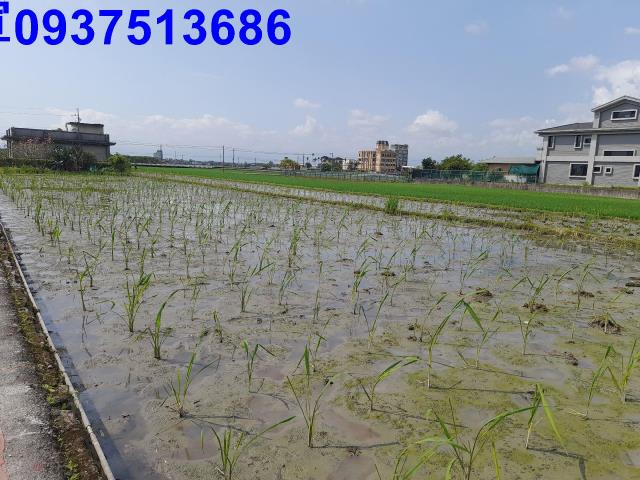 礁溪鄉白玉段農地出售