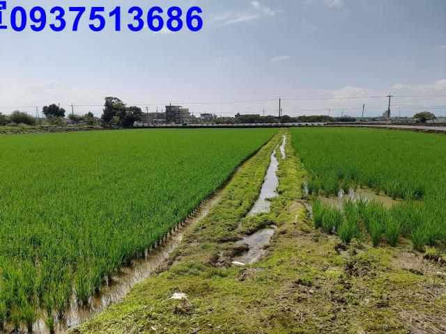 宜蘭礁溪農地-5