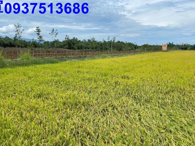 宜蘭宜蘭市農地-2