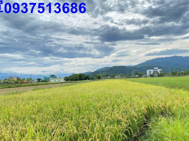 宜蘭宜蘭市農地-3