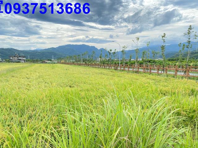 宜蘭宜蘭市農地-4