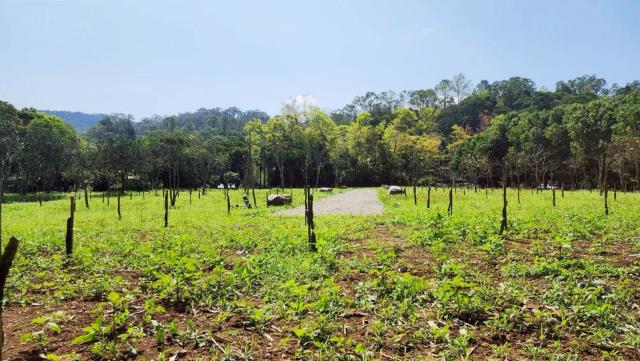 橫山農地-5