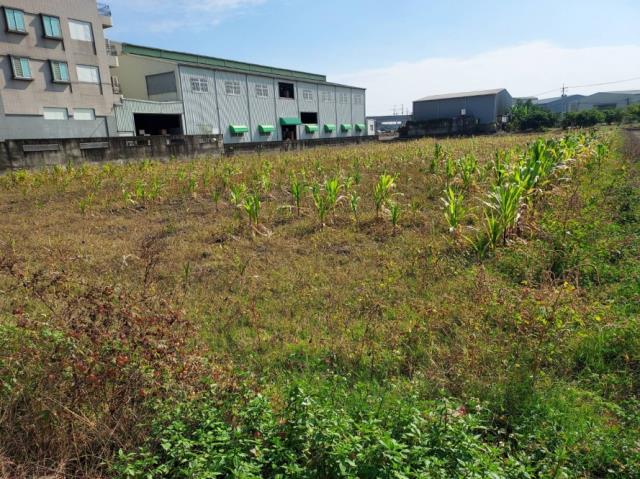 台南歸仁農地-8