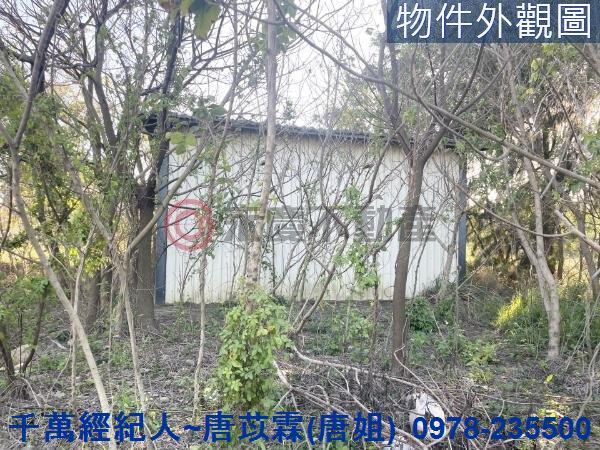 新竹竹北農地-5