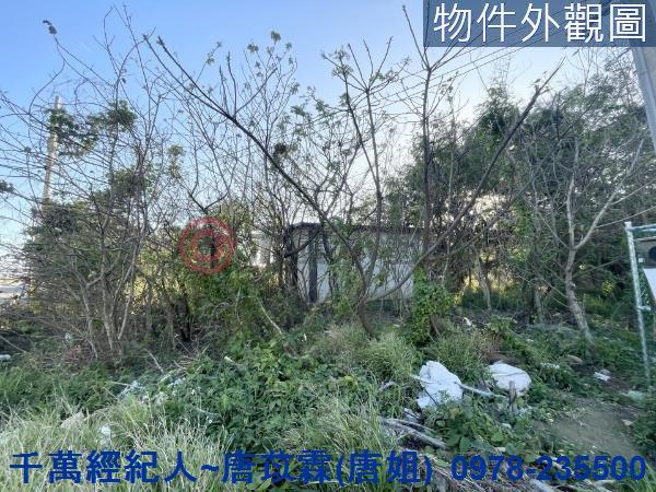 新竹竹北農地-7