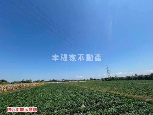 台南新化農地-4