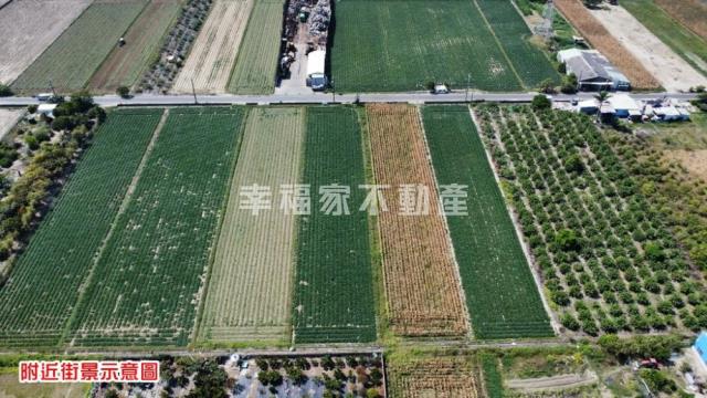 台南新化農地-8