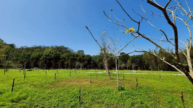 新竹橫山農地-2