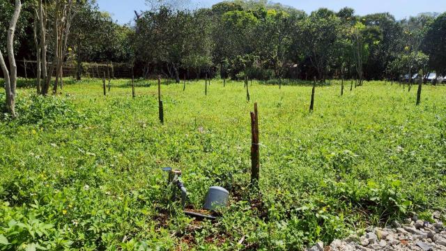 新竹橫山農地-6