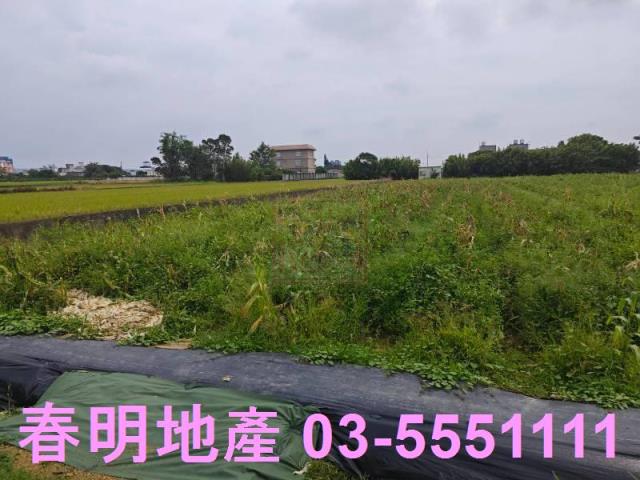 湖口農地-6
