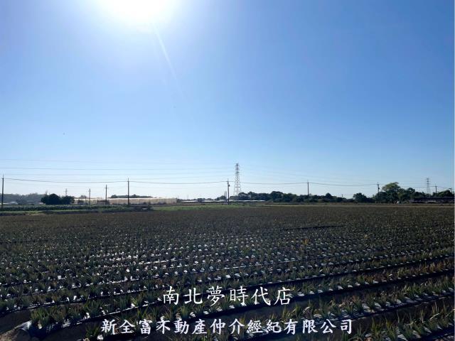 台南農地-3