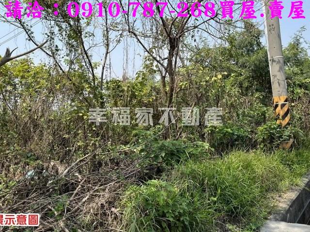 台南農地_特目用地-10