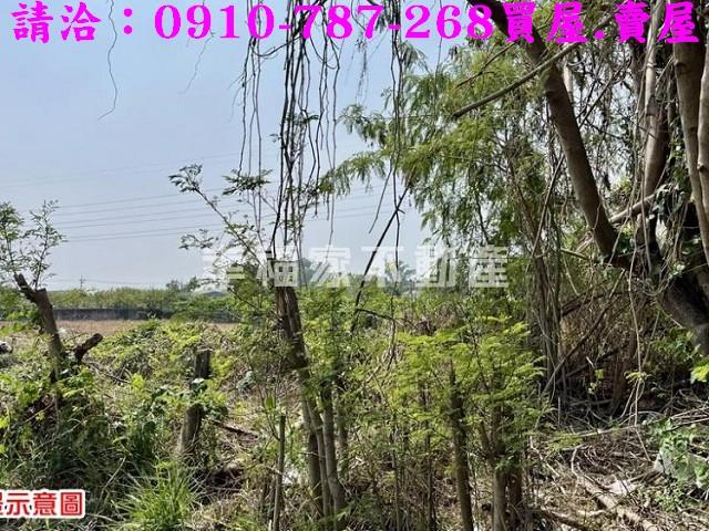 台南農地_特目用地-12