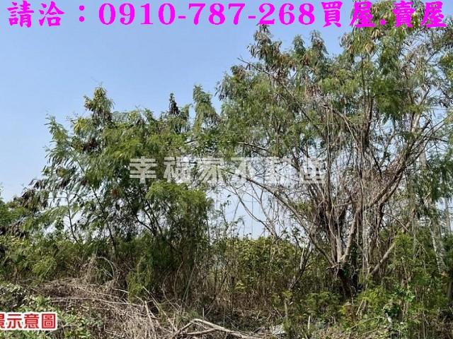 台南農地_特目用地-13