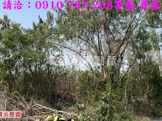 台南農地_特目用地-14