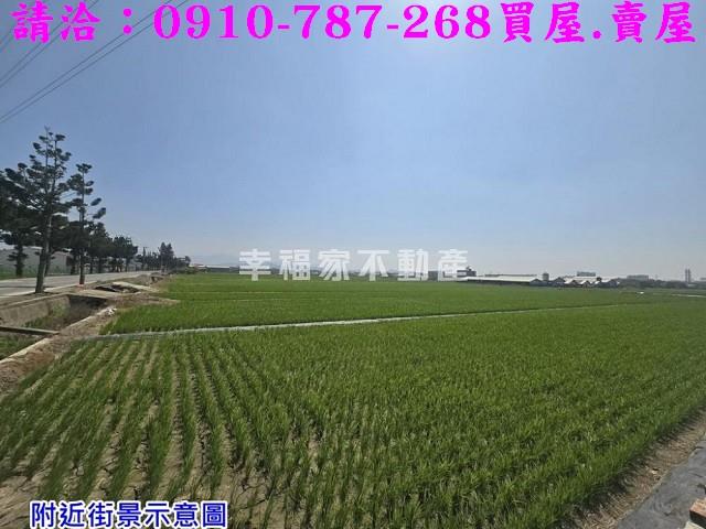 台南柳營農地-4