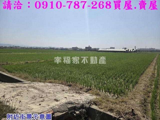 台南柳營農地-5
