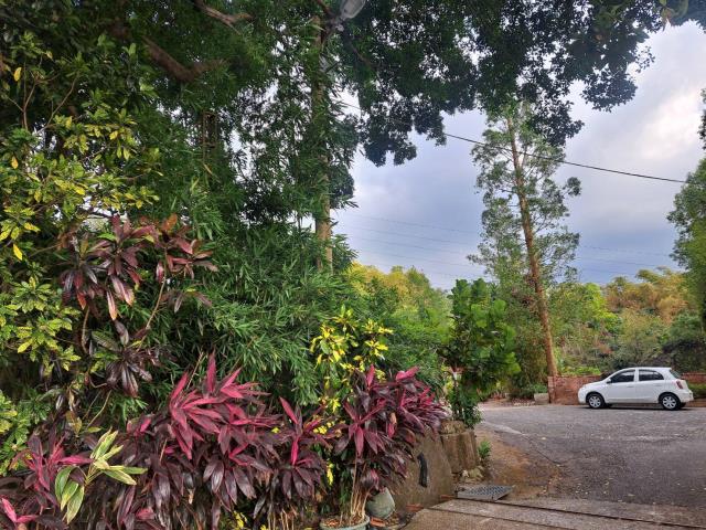 南投竹山農地-4