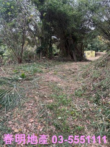 新竹芎林農地-1