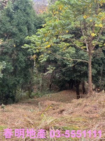 新竹芎林農地-3