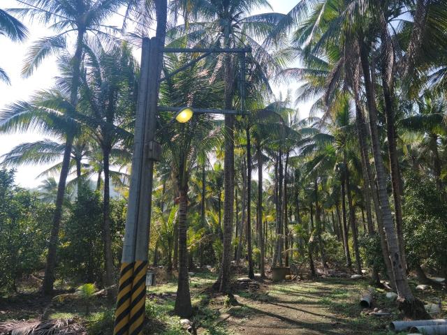 高雄旗山農地-1