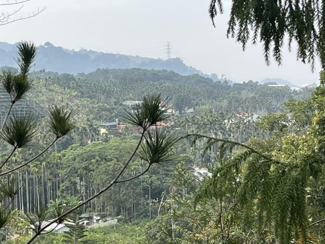 南投鹿谷農地-9