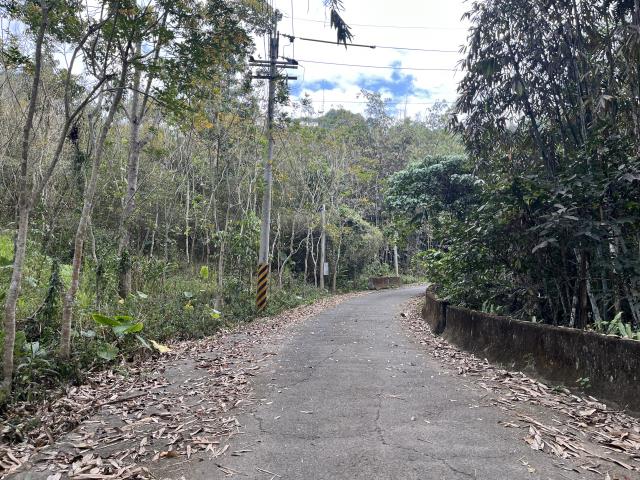 南投鹿谷農地-12