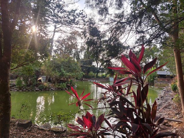 南投竹山農地-8