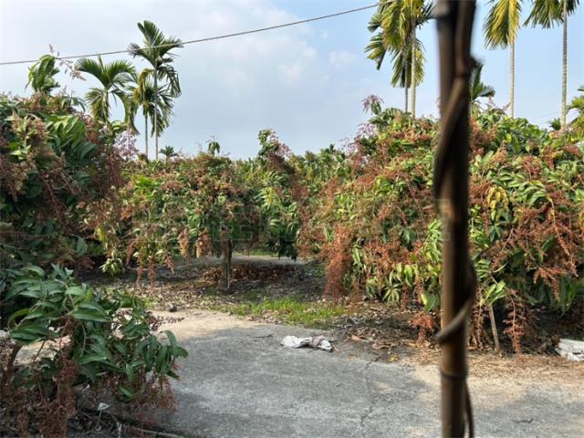 屏東鹽埔農地-2