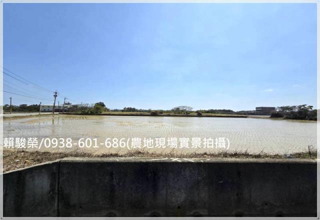 桃園觀音保興路農地售