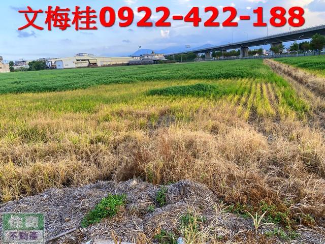 宜蘭羅東農地-4