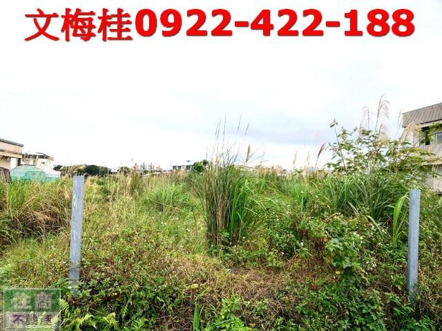 宜蘭宜蘭市農地-2