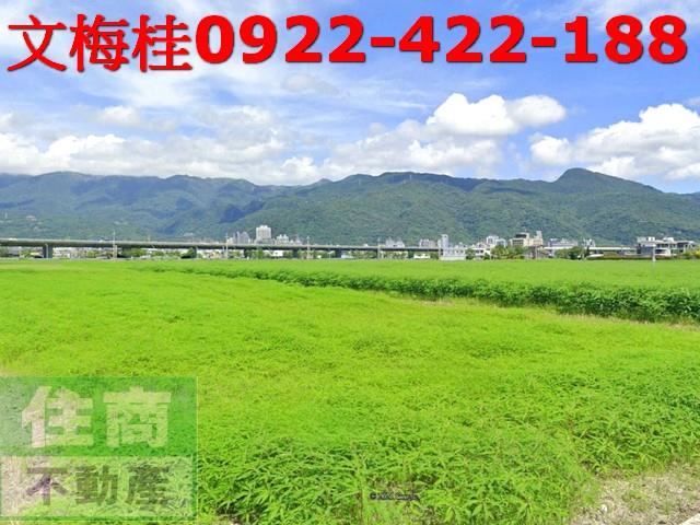 宜蘭礁溪農地-0