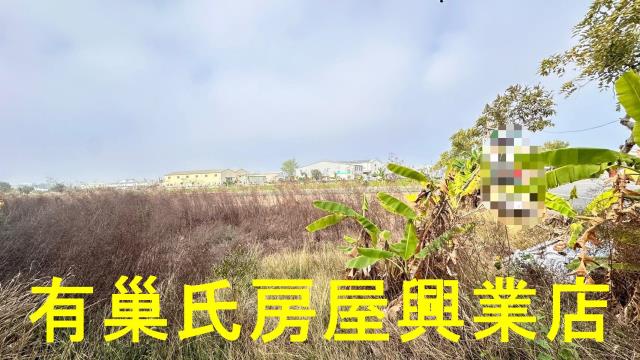 嘉義西區農地-8