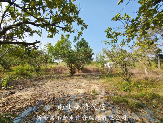 台南左鎮農地-9