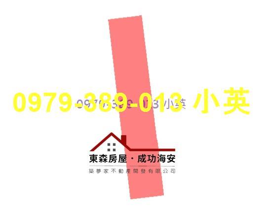 台南新市農地-12