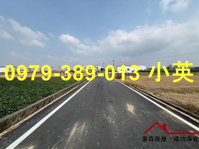 台南新市農地-8